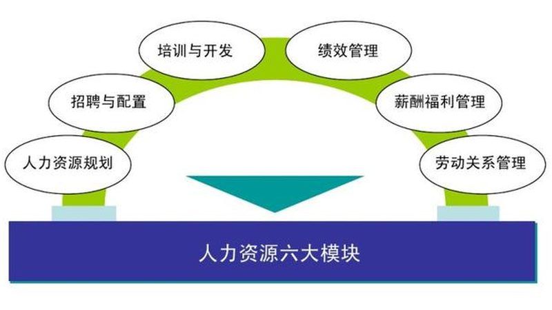 人力资源公司加盟合同范本：关键条款解析与注意事项**